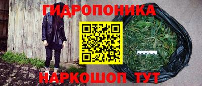 альфа пвп Краснознаменск