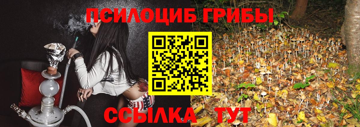 Псилоцибиновые грибы ЛСД Югорск
